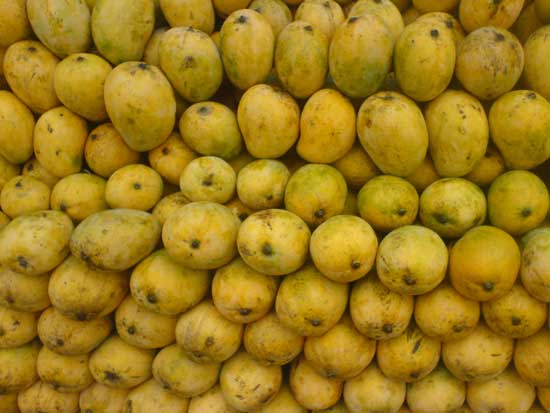 mangoes in kerala